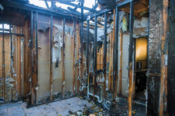 Professional Smoke Damage Removal technician working in Pinedale, WY